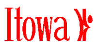 ITOWA Parts in USA
